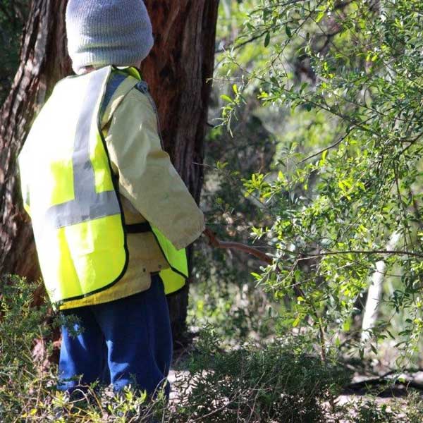 a kindergarten boy exploring nature